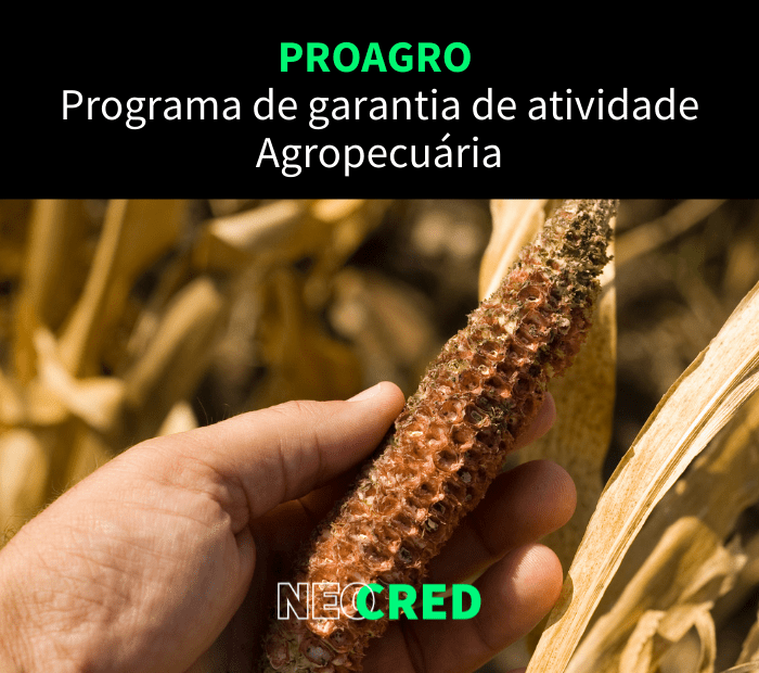 PROAGRO - Programa de Garantia da Atividade Agropecuária
